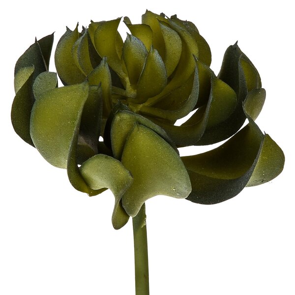 Set 6 Aoenium arboreum Artificiale Altezza 13 cm Verde