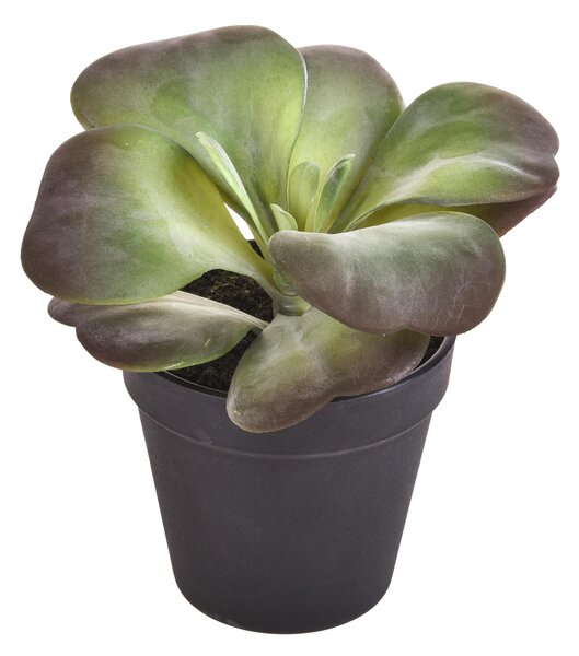 Set 2 Kalanchoe Succulent Artificiale con Vaso Altezza 16,5 cm Verde