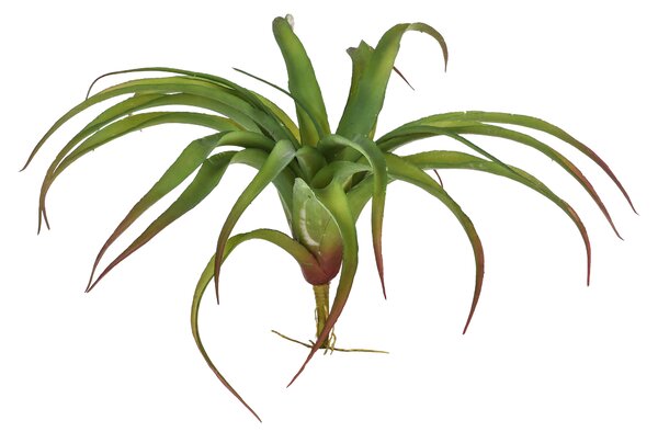 Set 2 Tillandsia Artificiale Misure 35x40 cm Verde