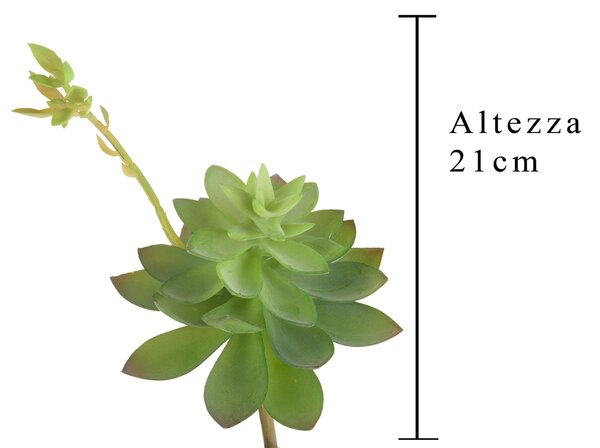 Set 6 Echeveria Cactus Artificiale Altezza 21 cm Verde