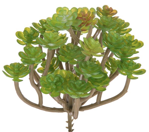 Set 9 Aoenium Succulent Artificiale Altezza 12 cm Verde