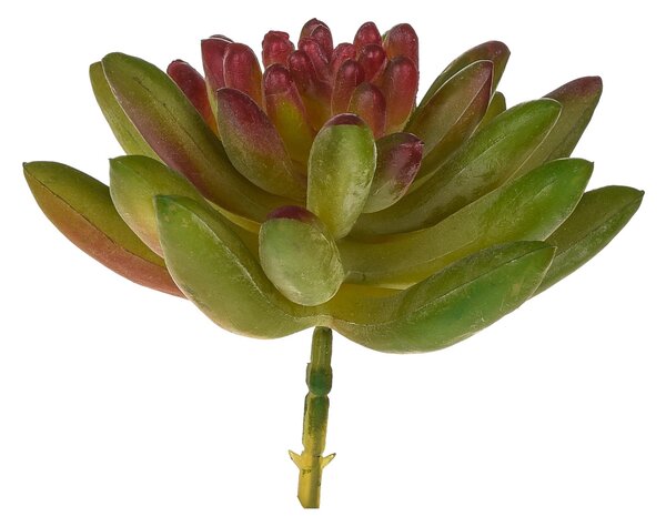 Set 6 Crassula Cactus Artificiale Altezza 9 cm Verde