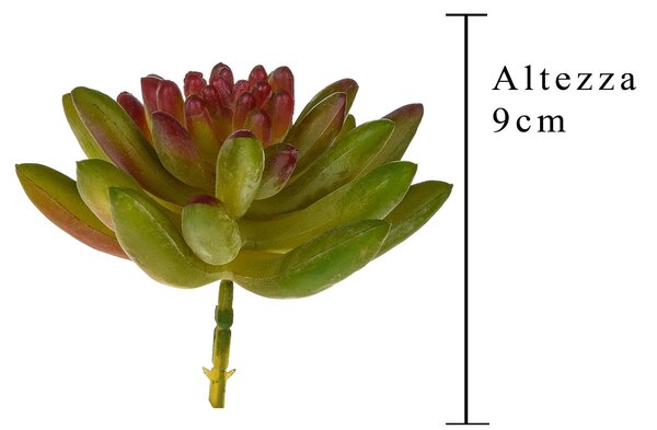 Set 6 Crassula Cactus Artificiale Altezza 9 cm Verde
