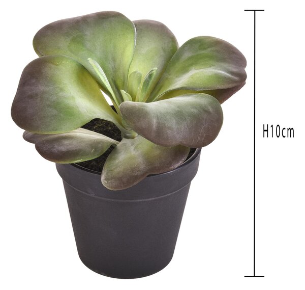 Set 2 Kalanchoe Succulent Artificiale con Vaso Altezza 16,5 cm Verde