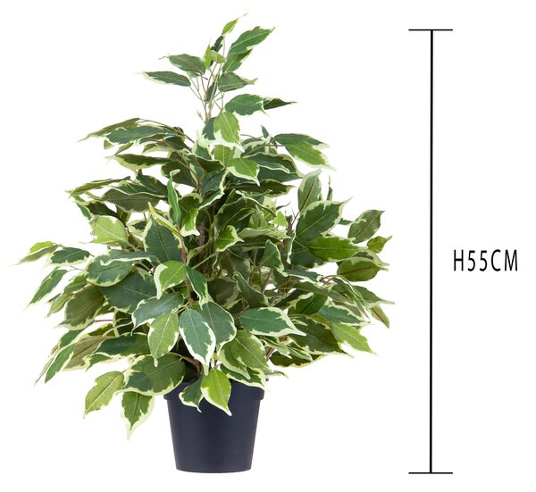 Ficus Artificiale con Vaso Altezza 55 cm Verde