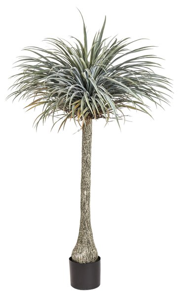 Yucca Artificiale con Vaso Altezza 180 cm