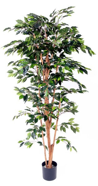 Ficus Artificiale con 1296 Foglie con Vaso Altezza 180 cm Verde