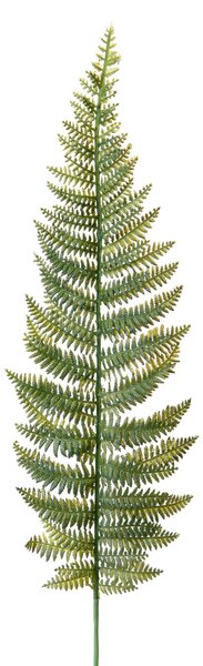 Set 24 Felce Artificiale Singola Altezza 55 cm Verde