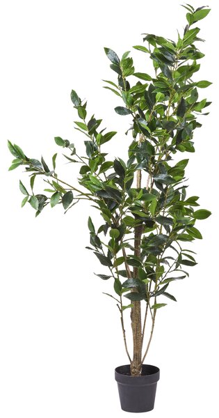 Alloro Artificiale con Vaso Altezza 150 cm Verde