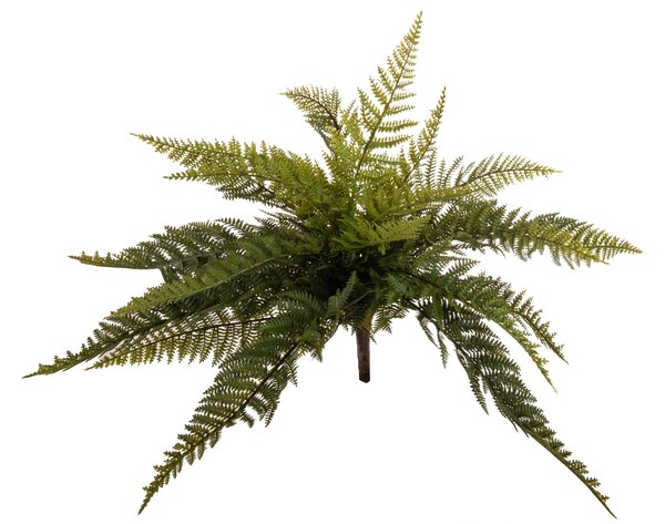 Set 2 Pinta di Felce Boston Artificiale Altezza 43 cm Verde