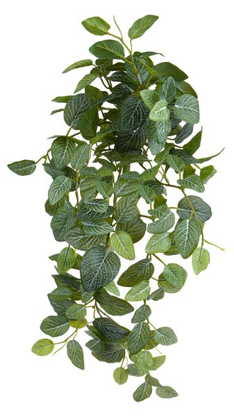Fittonia Artificiale Cespuglio x 9 con 170 Foglie H.74 cm Verde