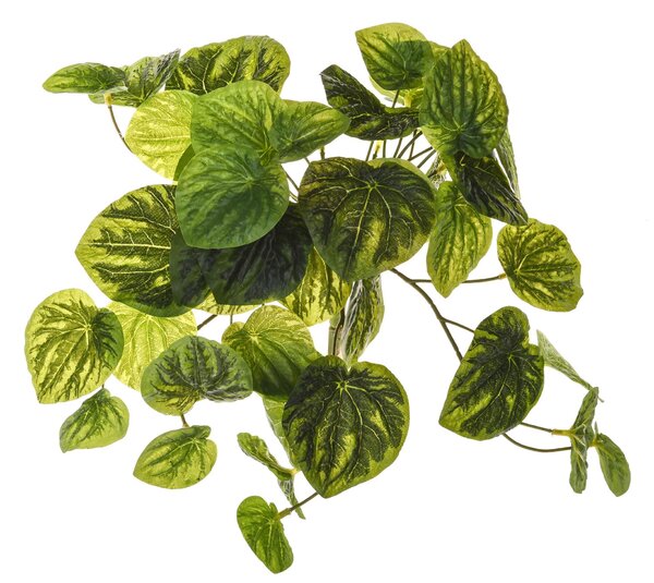 Set 3 Peperomia Artificiale a 8 Diramazioni Composta da 43 Foglie Altezza 28 cm Verde