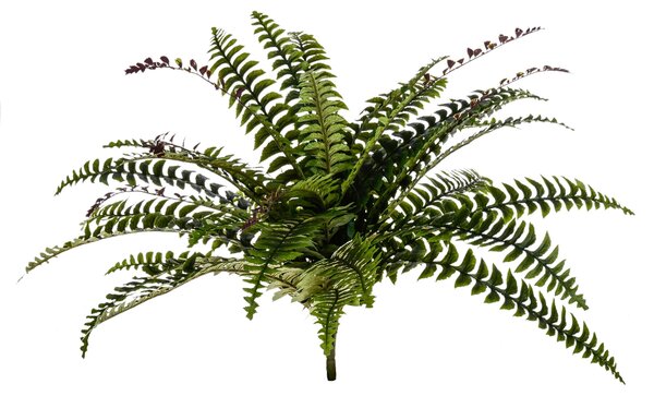 Set 2 Felce Artificiale Composta da 36 Foglie Altezza 72 cm Verde