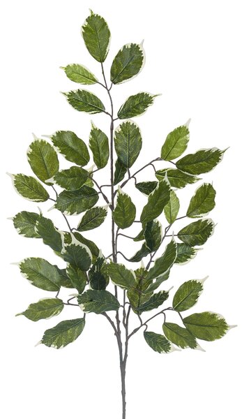 Set 12 Rami di Ficus Artificiale con 42 Foglie Altezza 60 cm Verde