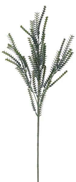 Set 12 Rami di Crassula Artificiale Altezza 76,5 cm Verde
