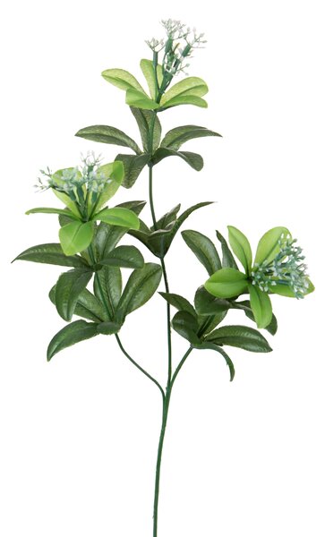 Set 12 Rami di Lauro Artificiale Composta a 3 Diramazioni Altezza 61 cm Verde