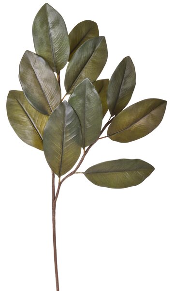 Set 4 Rami Artificiali con Foglie di Magnolia Altezza 83 cm Verde