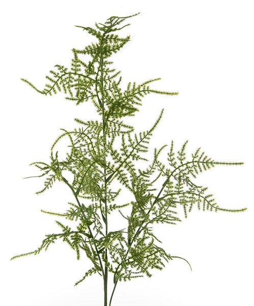 Set 6 Rami di Asparagus Artificiale Altezza 70 cm Verde