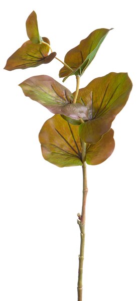Set 9 Rami di Kalanchoe Artificiale Altezza 74 cm Marrone