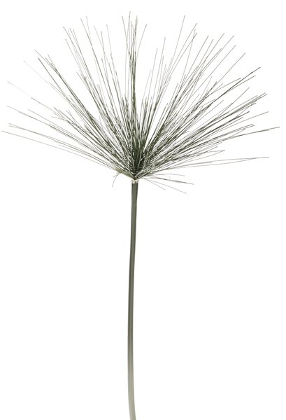 Set 8 Rami di Cyperus Artificiale Altezza 100 cm Verde