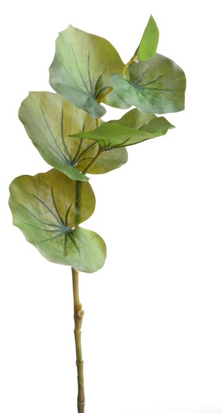 Set 9 Rami di Kalanchoe Artificiale Altezza 74 cm Verde