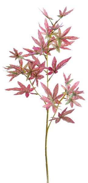 Set 24 Rami di Acero Giapponese Artificiale Altezza 72 cm Rosso