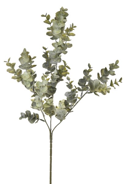 Set 6 Rami di Eucalipto Artificiale Composto da 3 Diramazioni Altezza 67 cm Verde