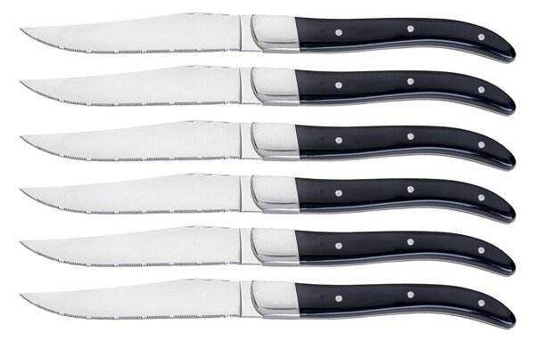 Set 6 Coltelli da Bistecca Lama Seghettata Manico in Acrilico Alì Nero