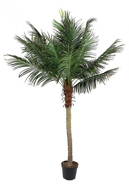 Pianta Artificiale Palma H210 cm con Vaso Verde