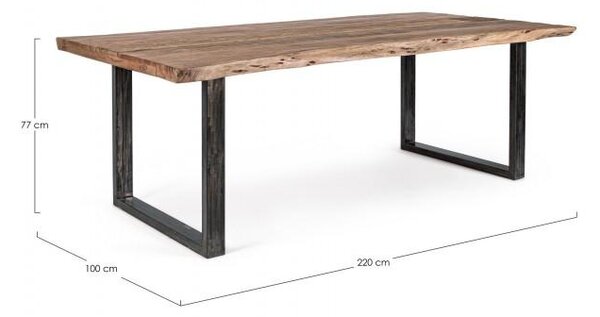 Tavolo da Pranzo 220x100x77 cm in Acciaio e Legno