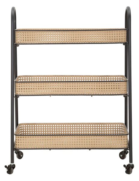 Portapiante 3 Ripiani 60x30x80 cm con Ruote in Metallo