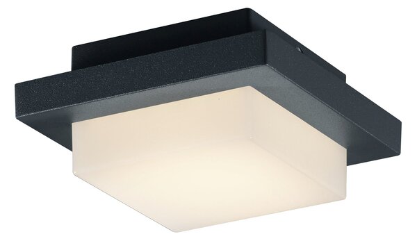 Applique da Esterno a LED in Pressofusione di alluminio Antracite