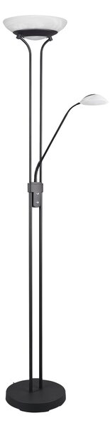 Piantana da Interno a LED in Metallo Nero Opaco