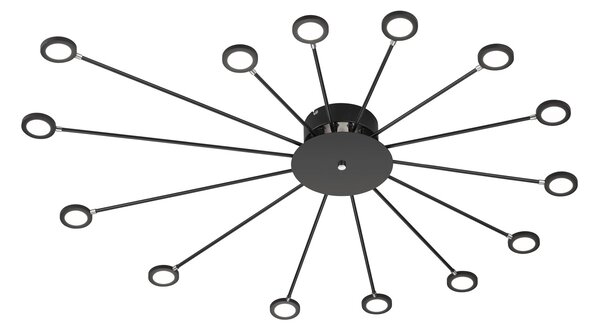 Plafoniera da Interno a LED in Metallo Nero Opaco