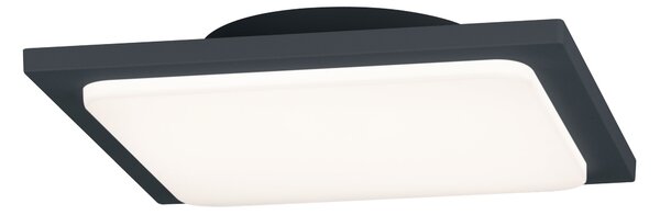Plafoniera da Esterno a LED in Alluminio Antracite