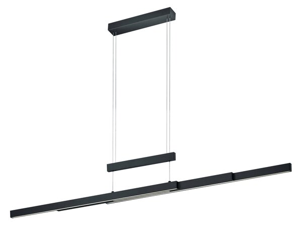Lampada a Sospensione da Interno a LED in Metallo Nero Opaco