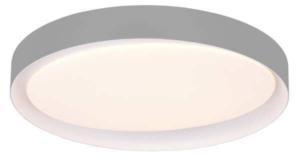 Plafoniera da Interno a LED in Plastica Grigio