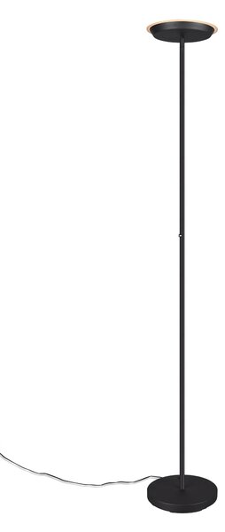 Piantana da Interno a LED in Metallo Nero Opaco