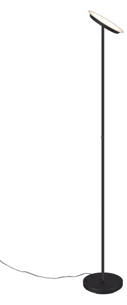 Piantana da Interno a LED in Metallo Nero Opaco