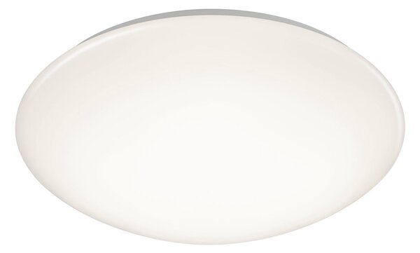Plafoniera da Interno a LED in Plastica Bianco