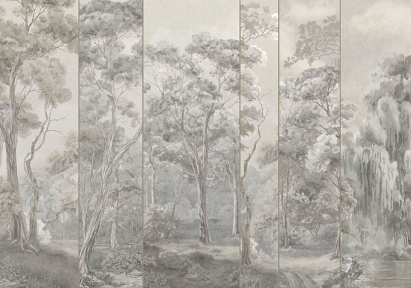 Carta da parati Una foresta panoramica con alberi altissimi dai toni tenui e freschi, Carta da parati Buffer, w05811v1 : Uwalls.it