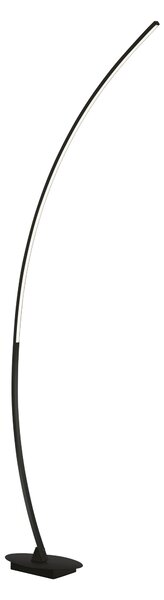Piantana da Interno a LED in Metallo Nero Opaco