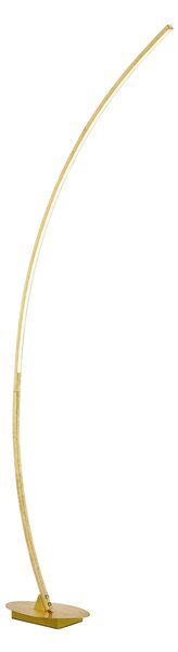 Piantana da Interno a LED in Metallo Oro