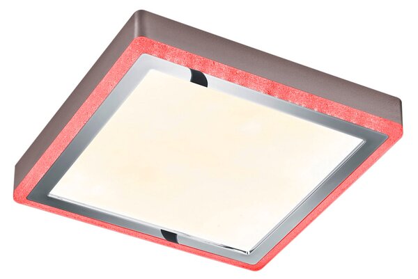 Plafoniera da Interno a LED in Plastica Bianco