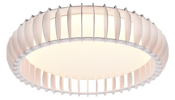 Plafoniera da Interno a LED in Plastica Bianco