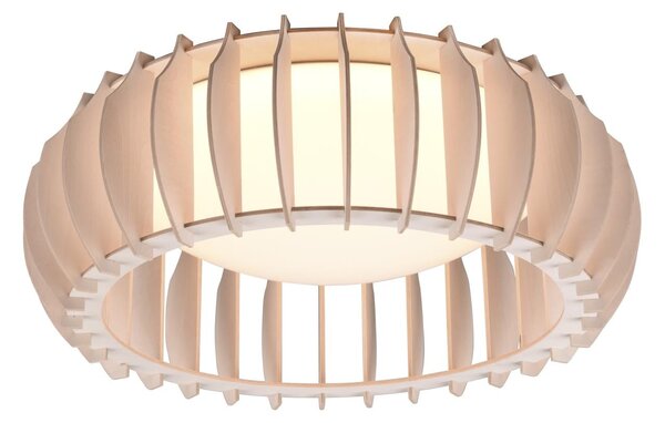 Plafoniera da Interno a LED in Plastica Bianco