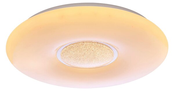 Plafoniera da Interno a LED in Plastica Bianco