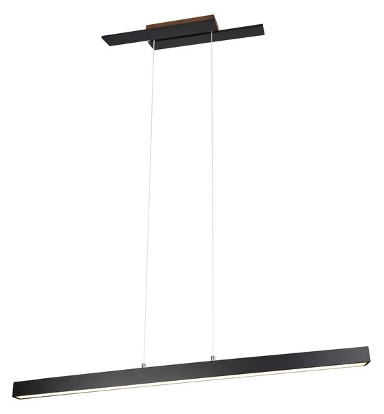 Lampada a Sospensione da Interno a LED in Metallo Nero Opaco