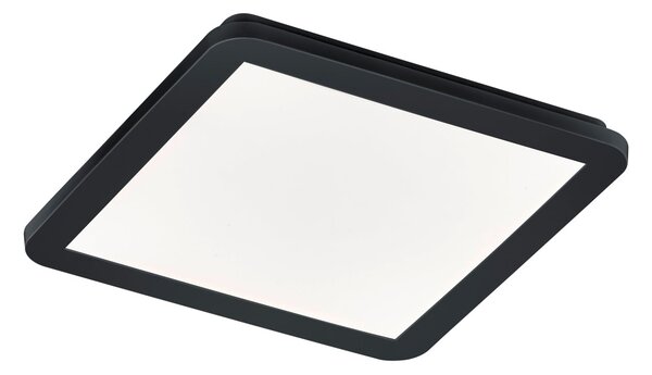 Plafoniera da Interno a LED in Plastica Nero Opaco