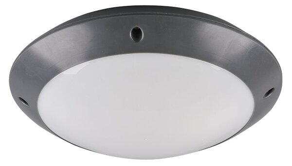 Plafoniera da Esterno E27 in Plastica Antracite